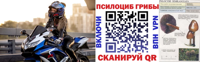 Галлюциногенные грибы прущие грибы  Красноармейск 